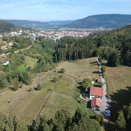 D'hotes Kieffer Le Grand Bienfaisy Nocleg ze śniadaniem Remiremont