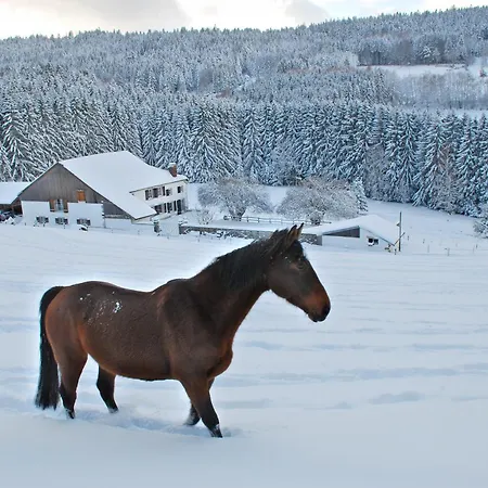 Frühstückspension D'hôtes Kieffer Le Grand Bienfaisy 3*
