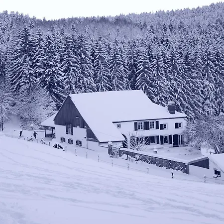 D'hôtes Kieffer Le Grand Bienfaisy Remiremont