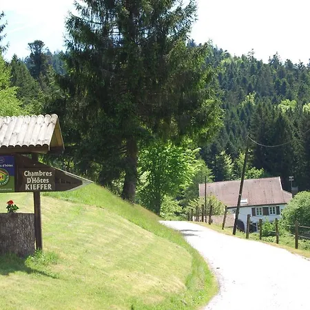 D'hôtes Kieffer Le Grand Bienfaisy Frühstückspension