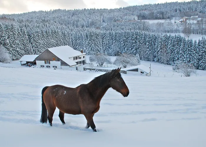 Bed & Breakfast D'hotes Kieffer Le Grand Bienfaisy 3*