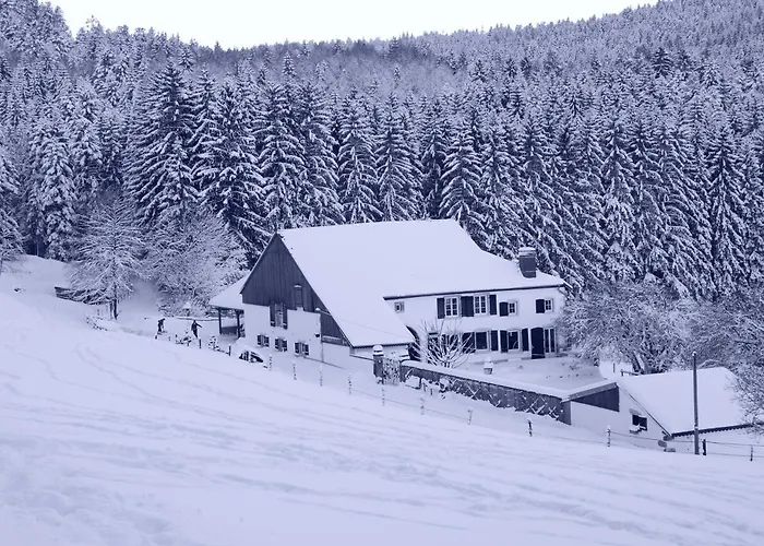 D'hotes Kieffer Le Grand Bienfaisy Remiremont