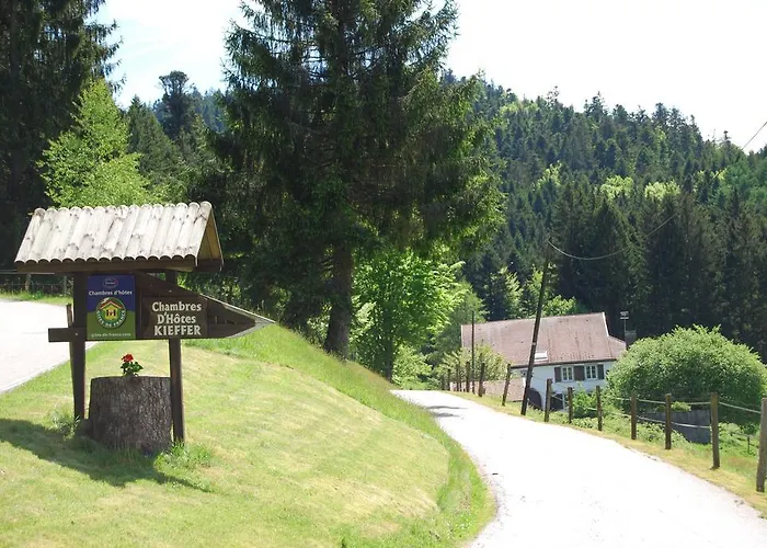 D'hotes Kieffer Le Grand Bienfaisy Bed & Breakfast