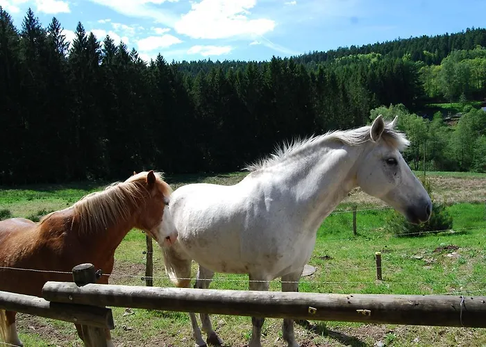 D'hotes Kieffer Le Grand Bienfaisy 3* Remiremont